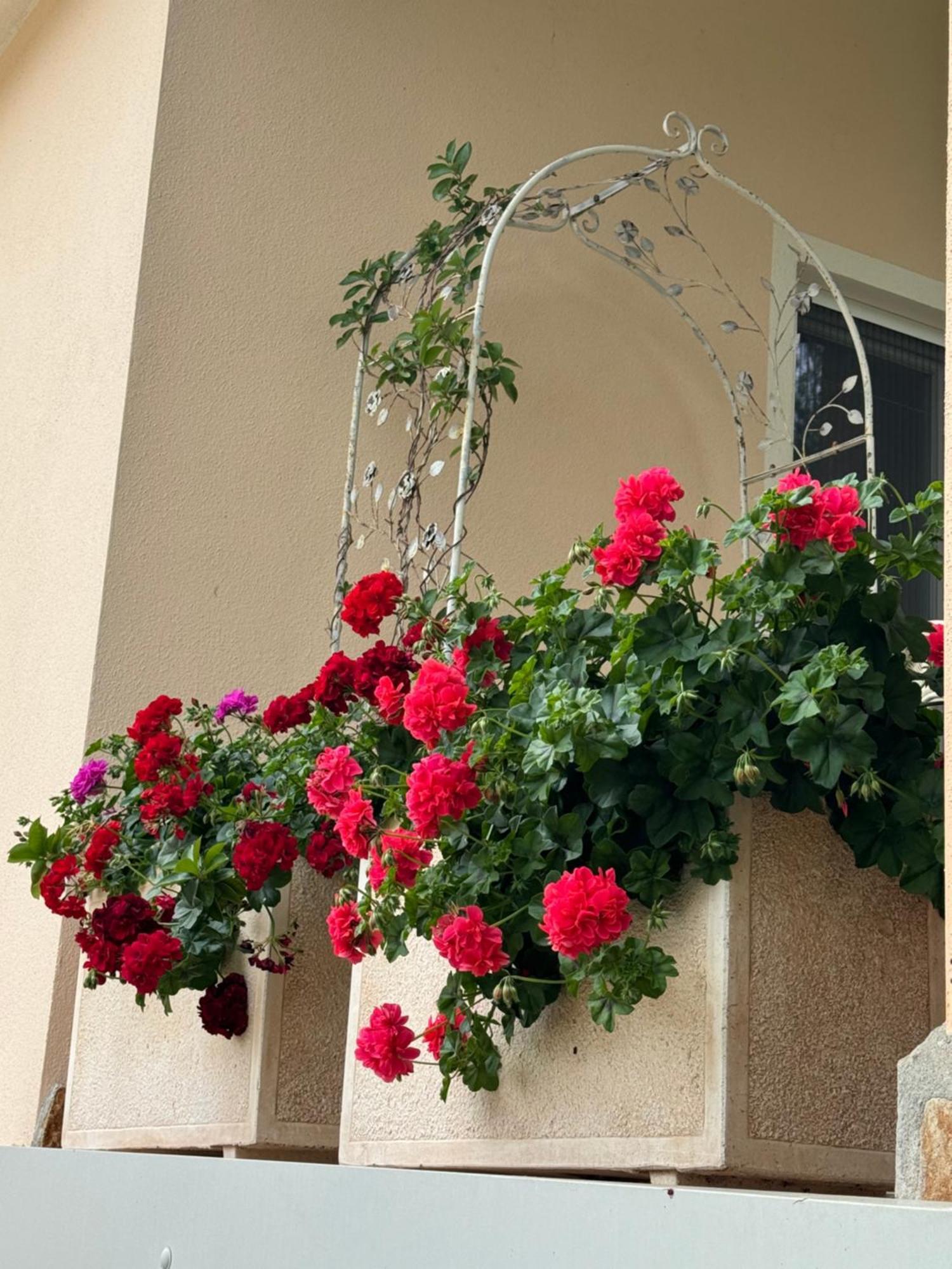 Villa Dei Fiori - Casa Vacanza 卡波特拉 外观 照片