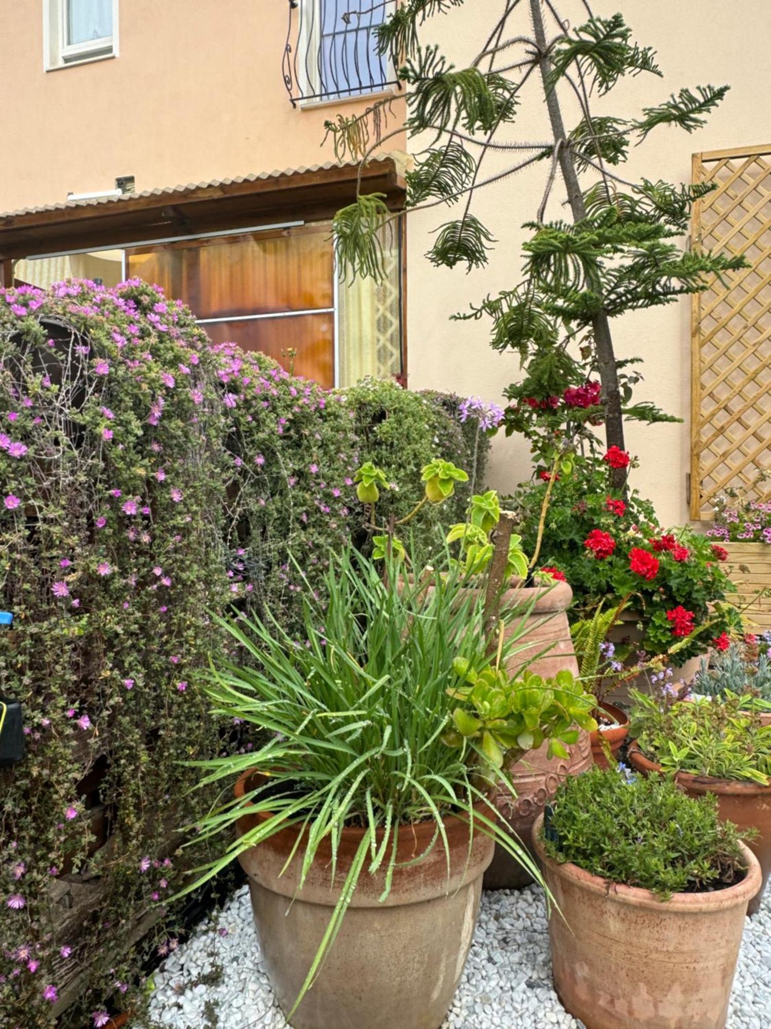 Villa Dei Fiori - Casa Vacanza 卡波特拉 外观 照片