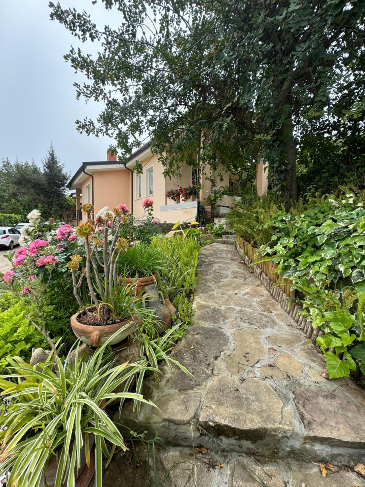 Villa Dei Fiori - Casa Vacanza 卡波特拉 外观 照片
